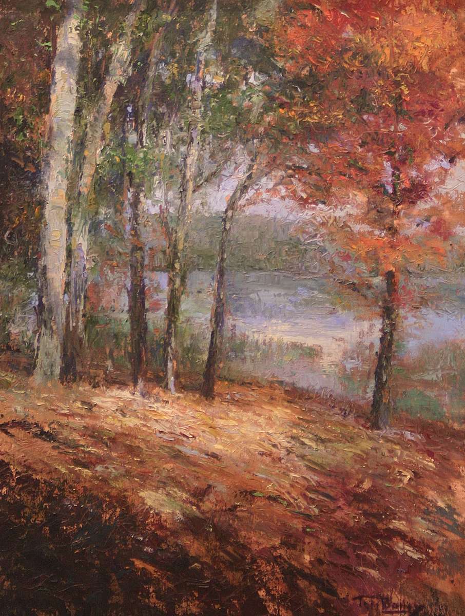 Overlook by Tom Bailey, Image 1.