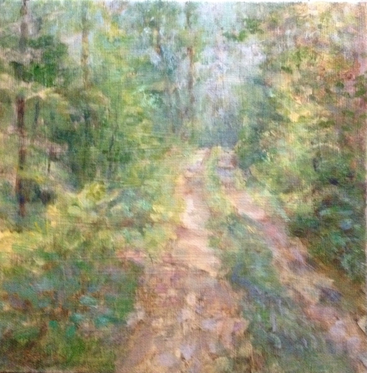 Barely Beaten Path by Tom Bailey 