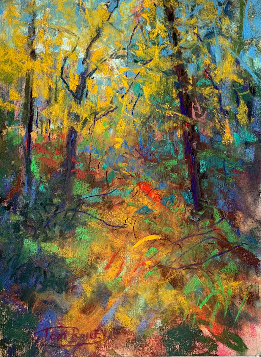 Be Where You Are by Tom Bailey, Image 2.