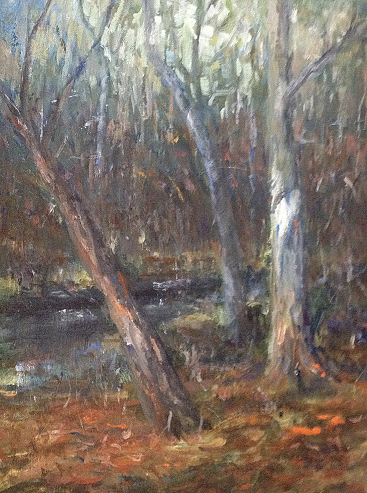 Blaze on Blaze by Tom Bailey 