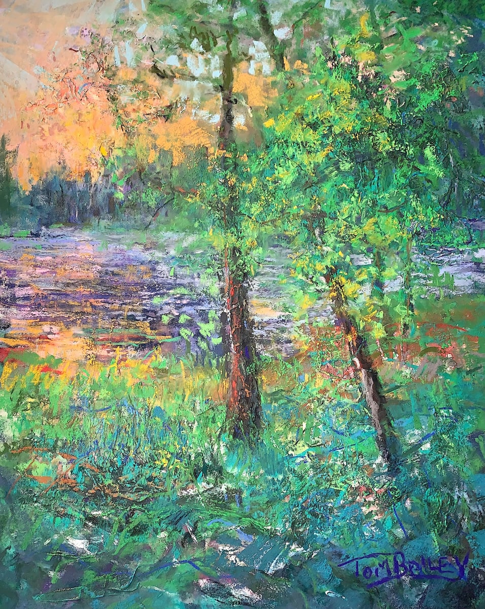 Enigmatic Energy by Tom Bailey 