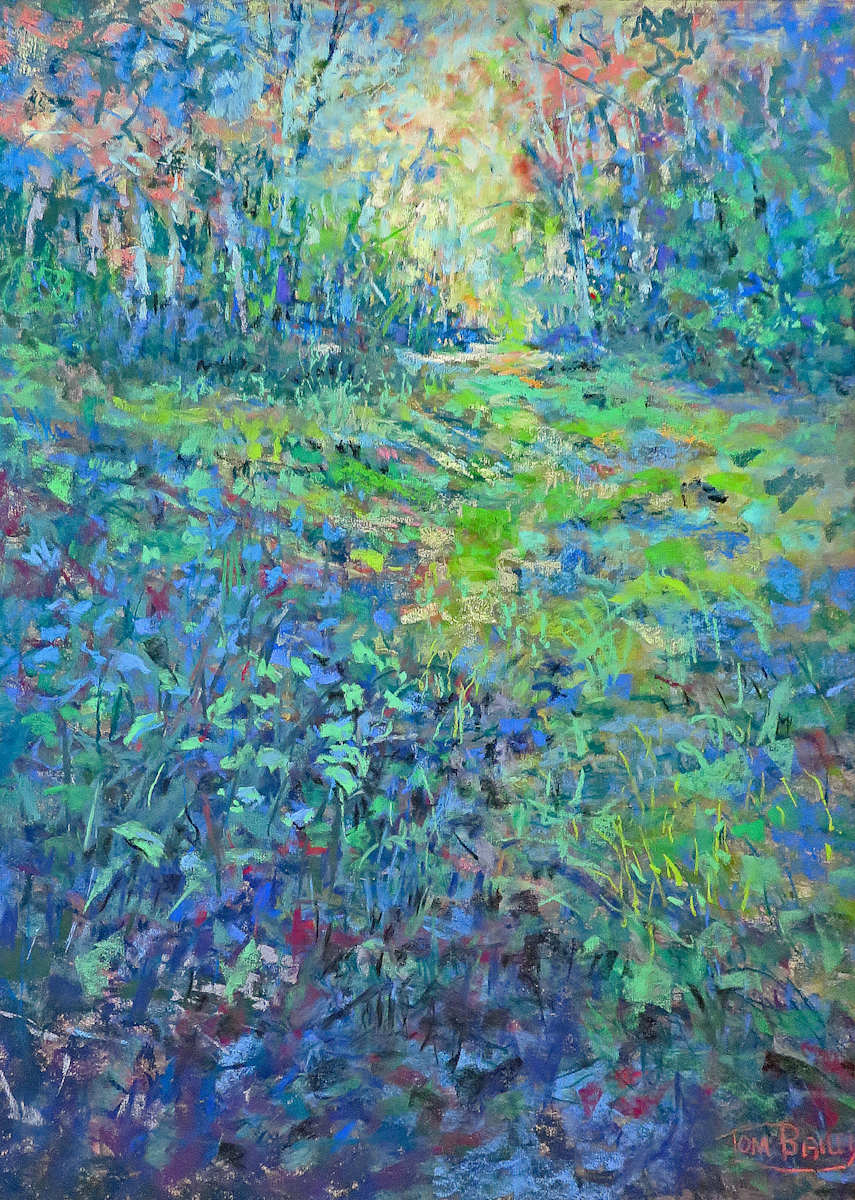 Exploring Is Enough by Tom Bailey, Image 1.