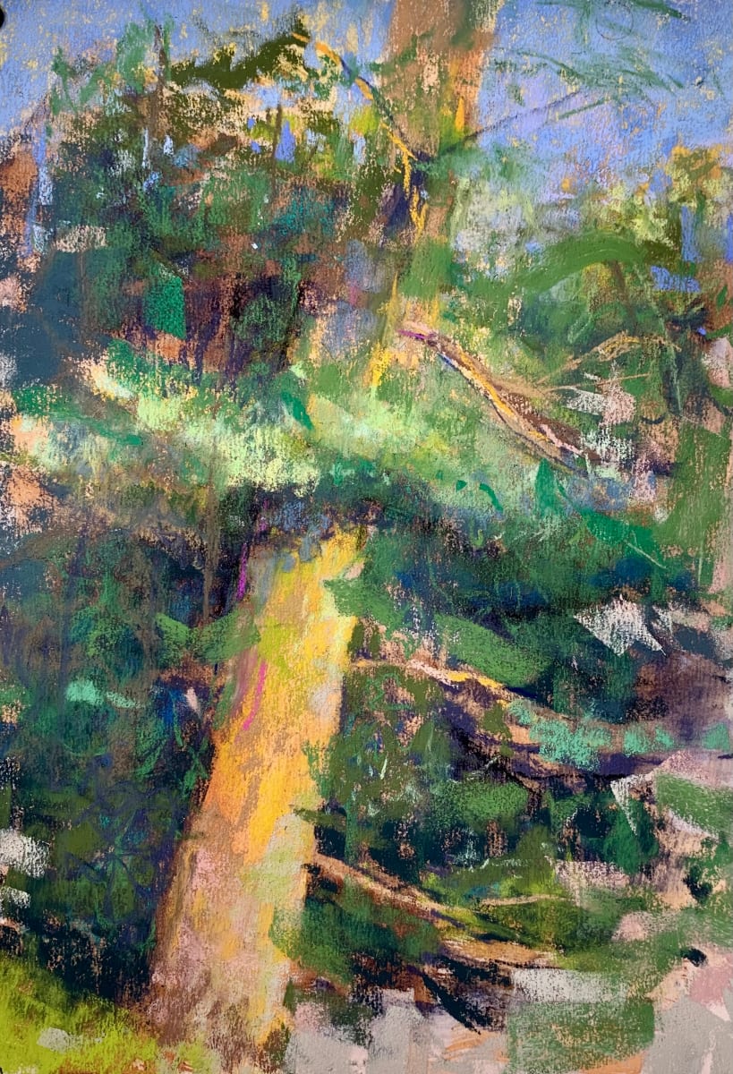 Like Ya Just Don't Care by Tom Bailey 