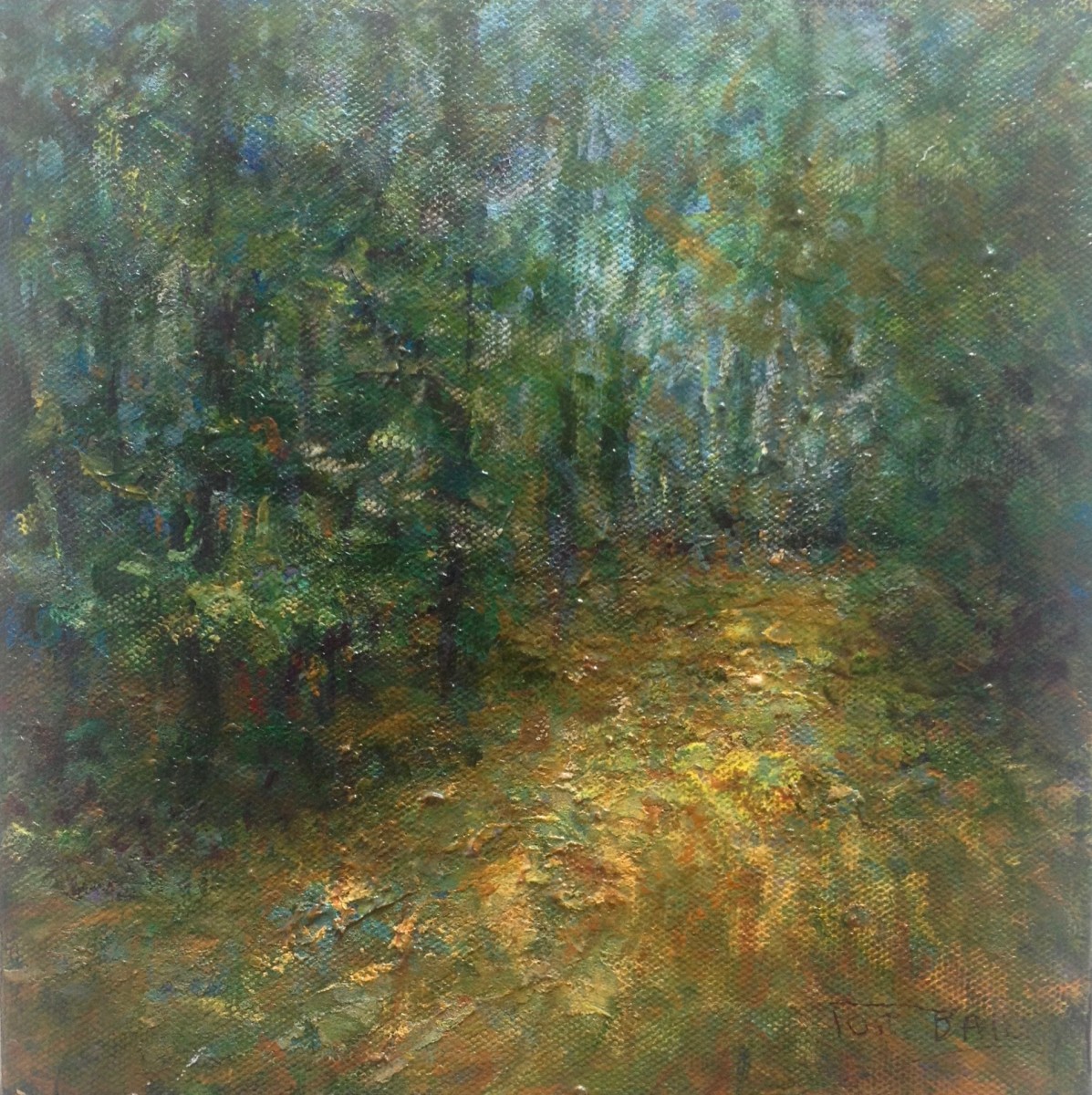 Swirls by Tom Bailey 