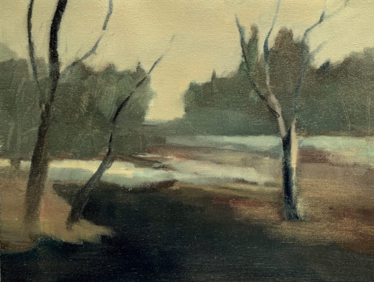Muted Shore, Image 1.