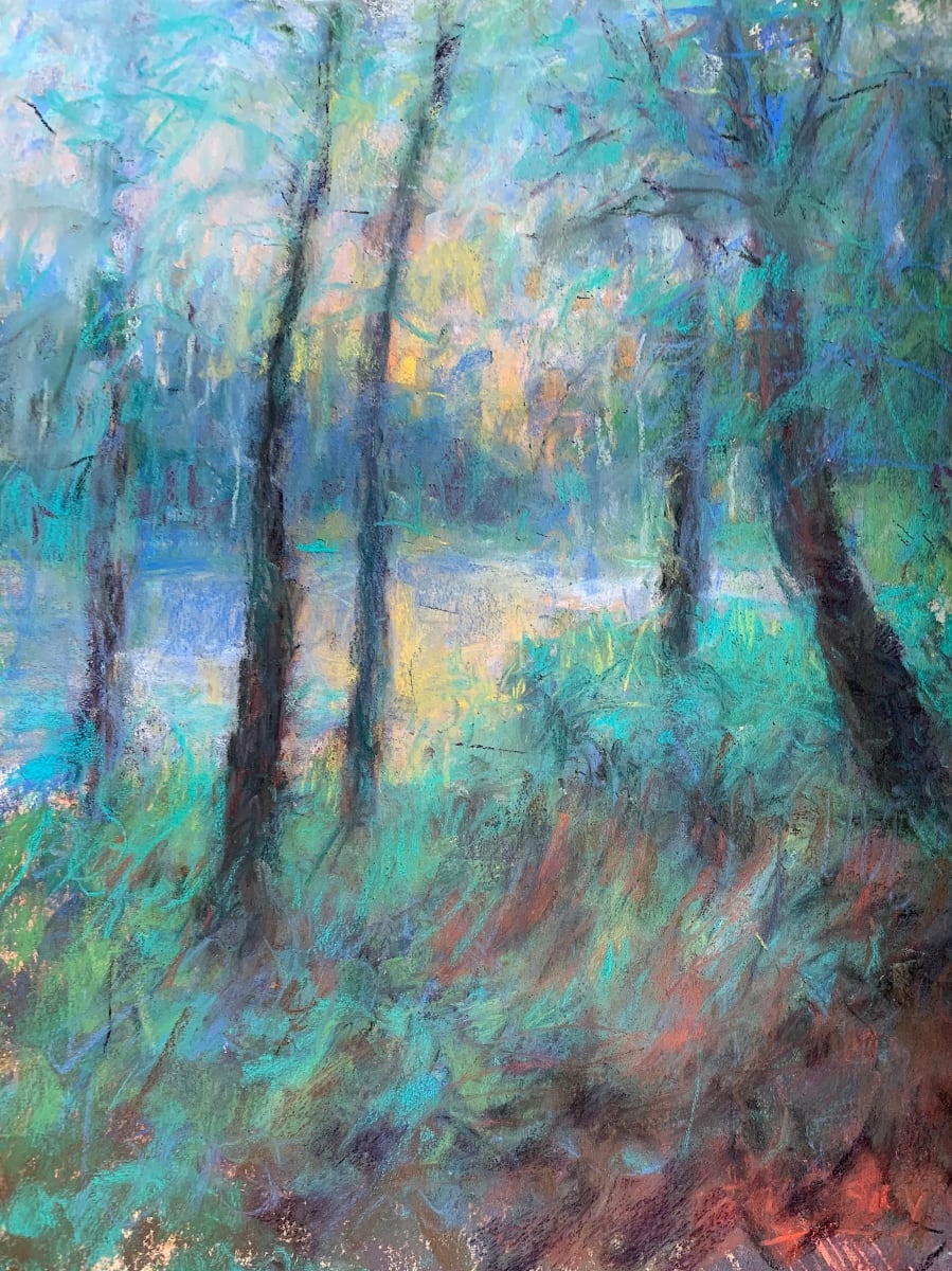 Pond Approach by Tom Bailey 