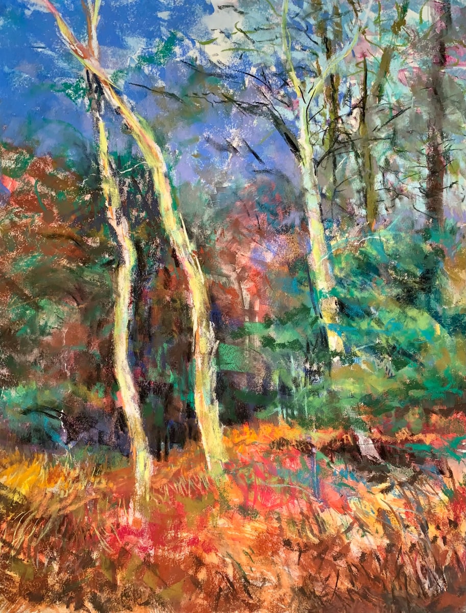 Step Boldly by Tom Bailey 