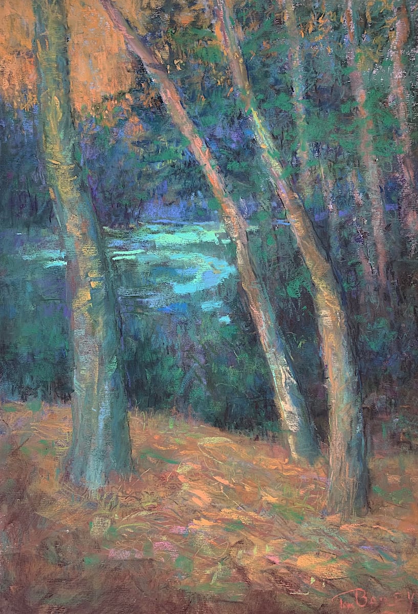 Picnic Place by Tom Bailey 