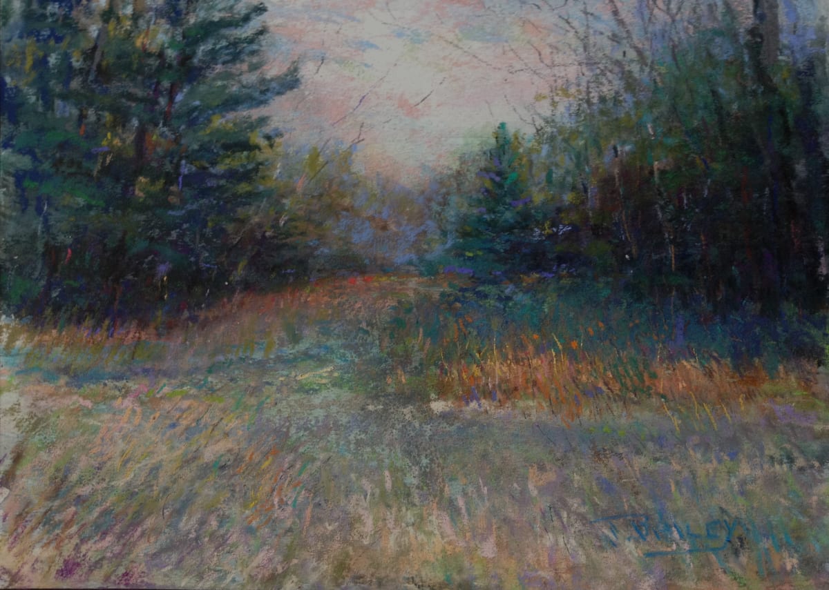 Upper Field by Tom Bailey 