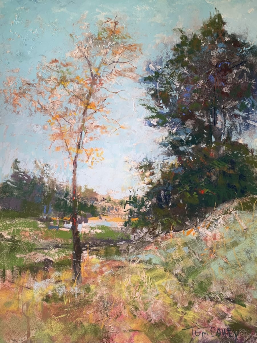 Walkable by Tom Bailey 