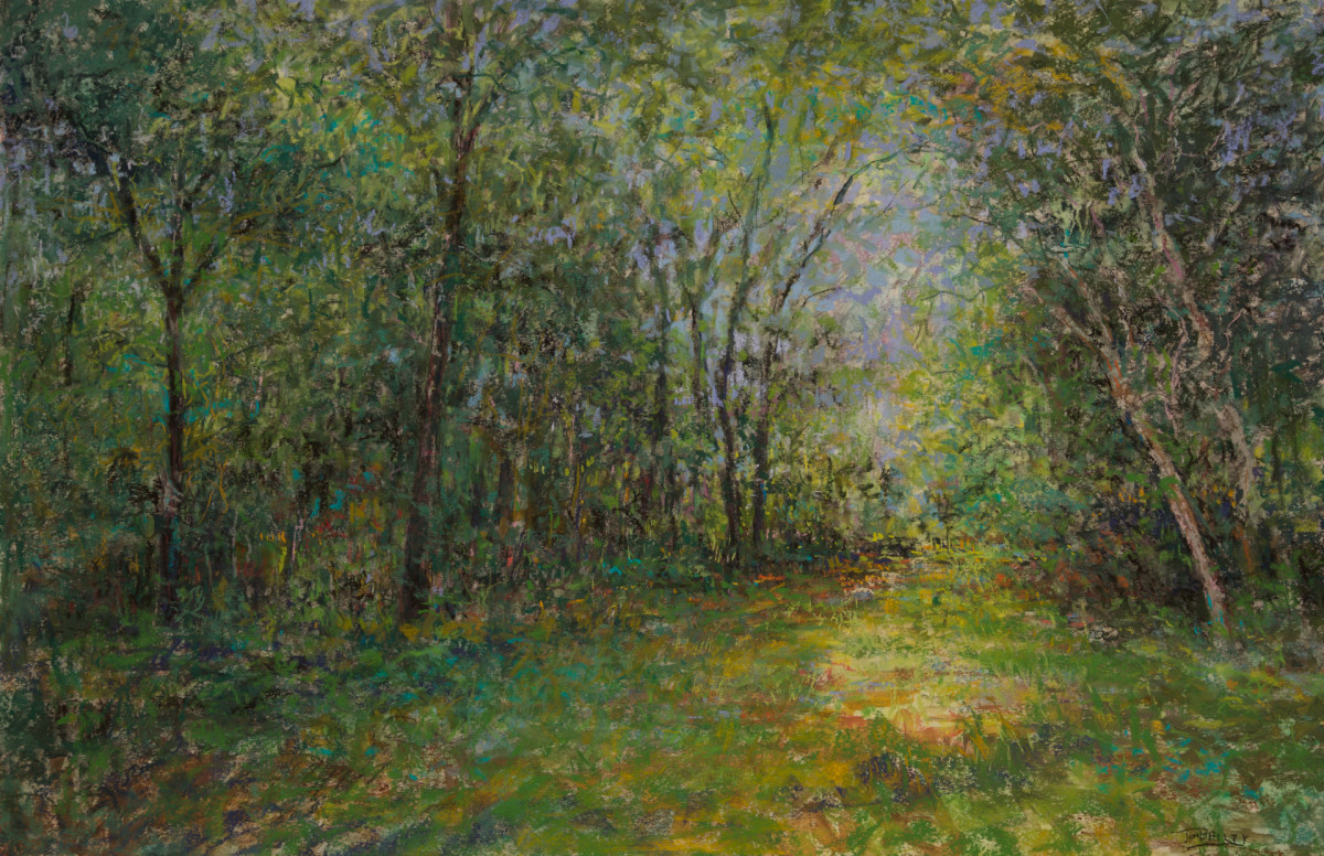 Woodlands by Tom Bailey 