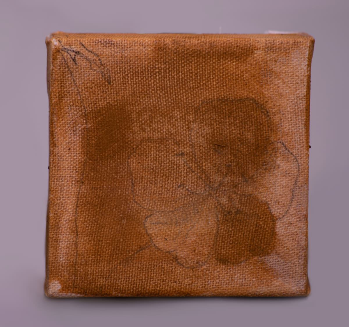 wild pigment painting by emma estelle chambers 