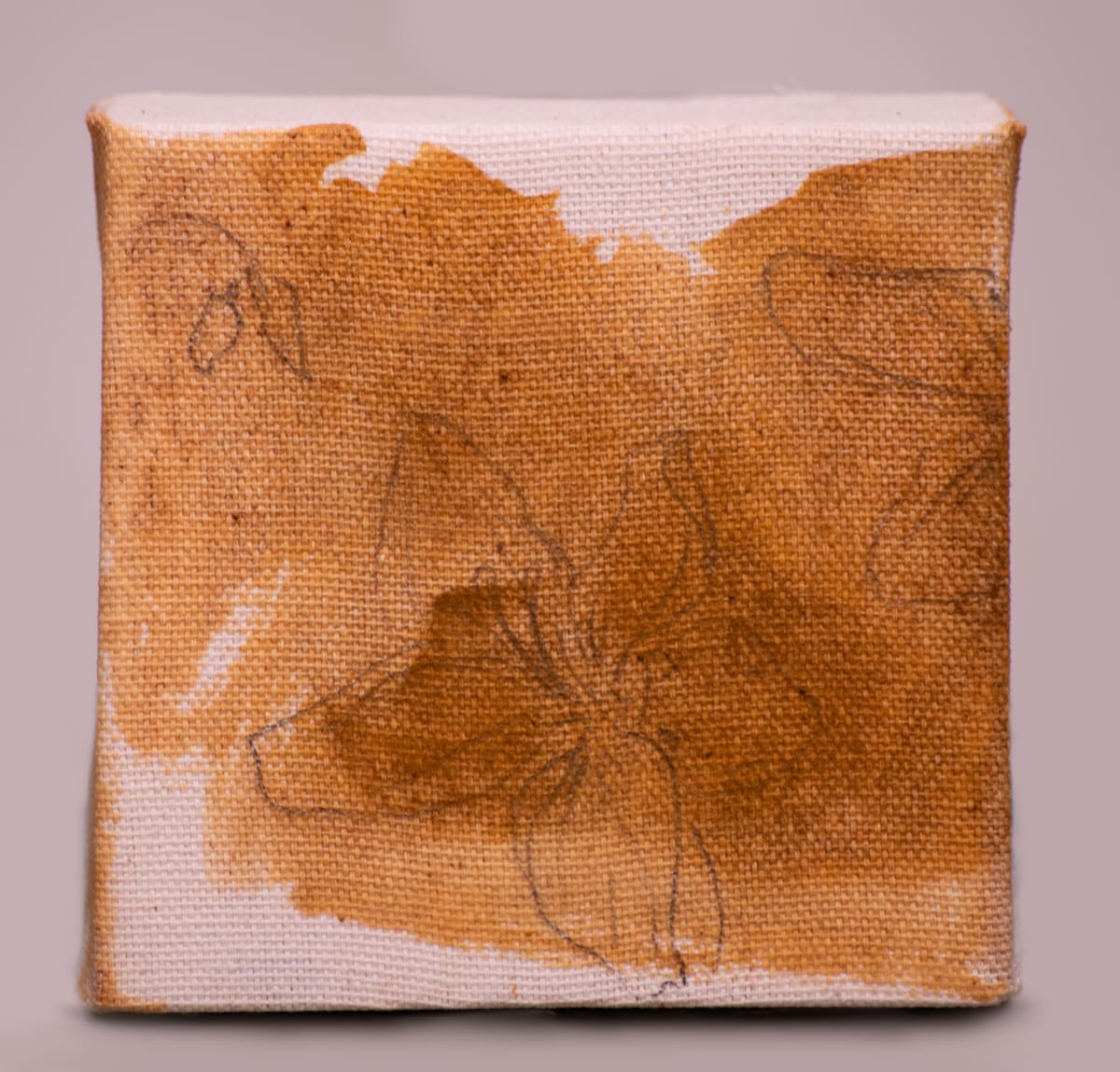 wild pigment painting by emma estelle chambers 