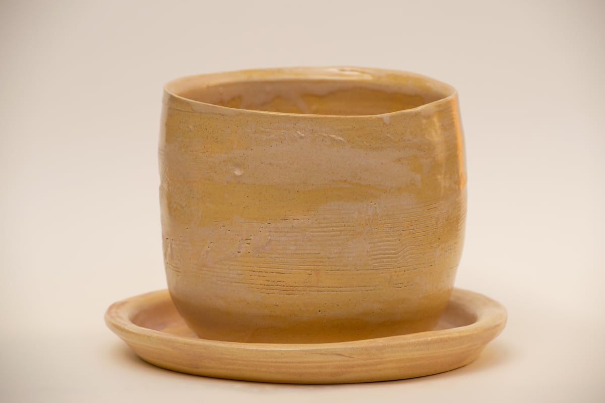 wild pigment planter by emma estelle chambers 