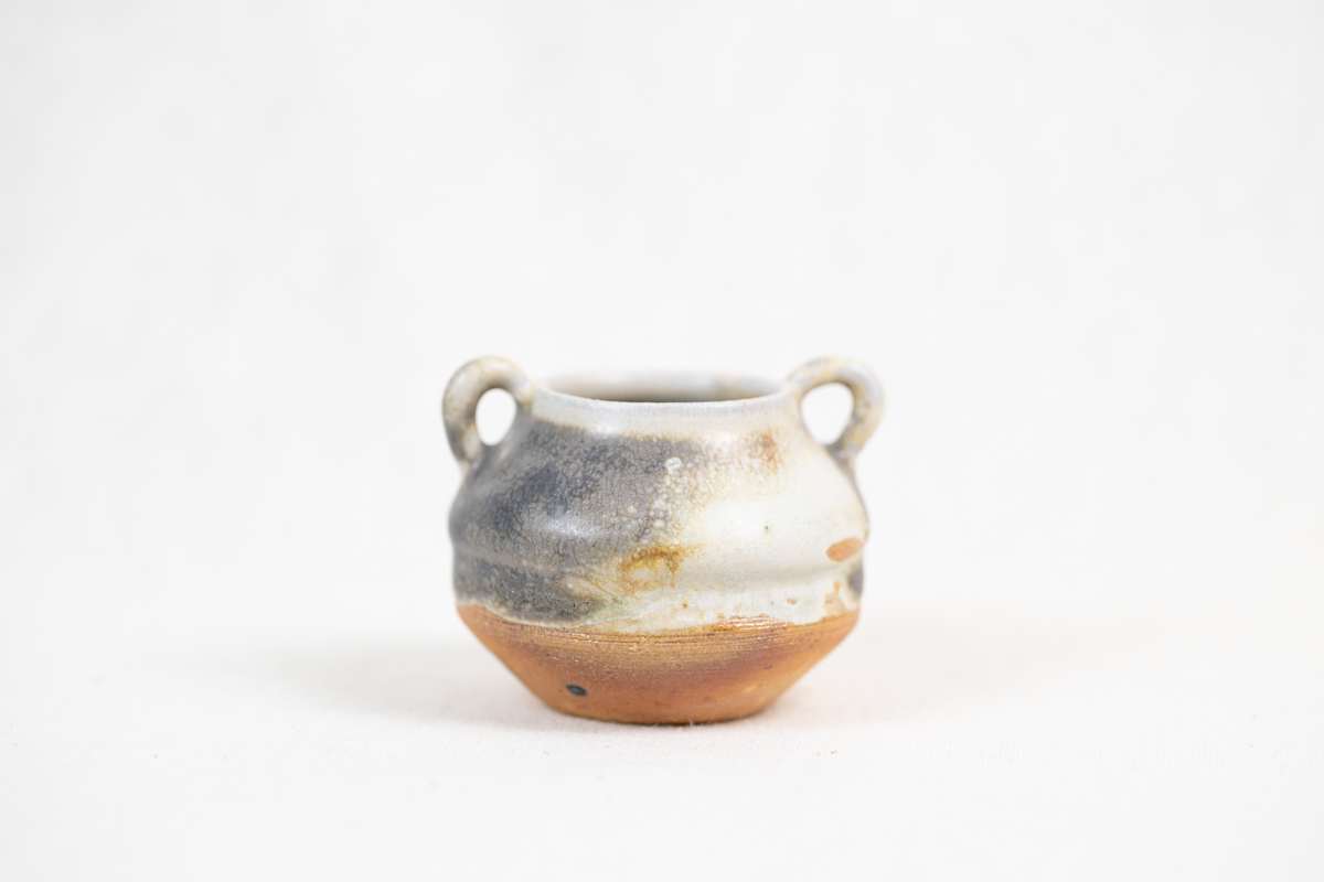 Wild Pigment Vessel 2025.05.42 by emma estelle chambers 