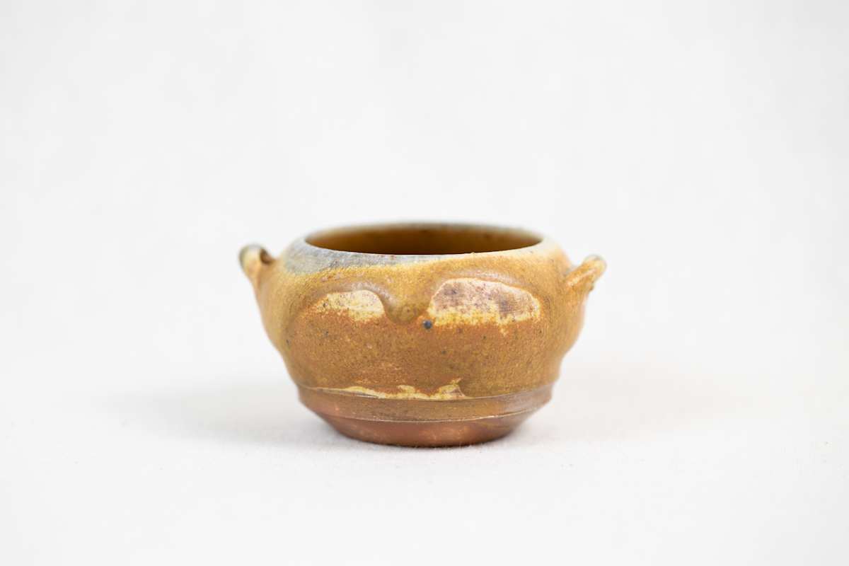 Wild Pigment Vessel 2025.05.43 by emma estelle chambers 