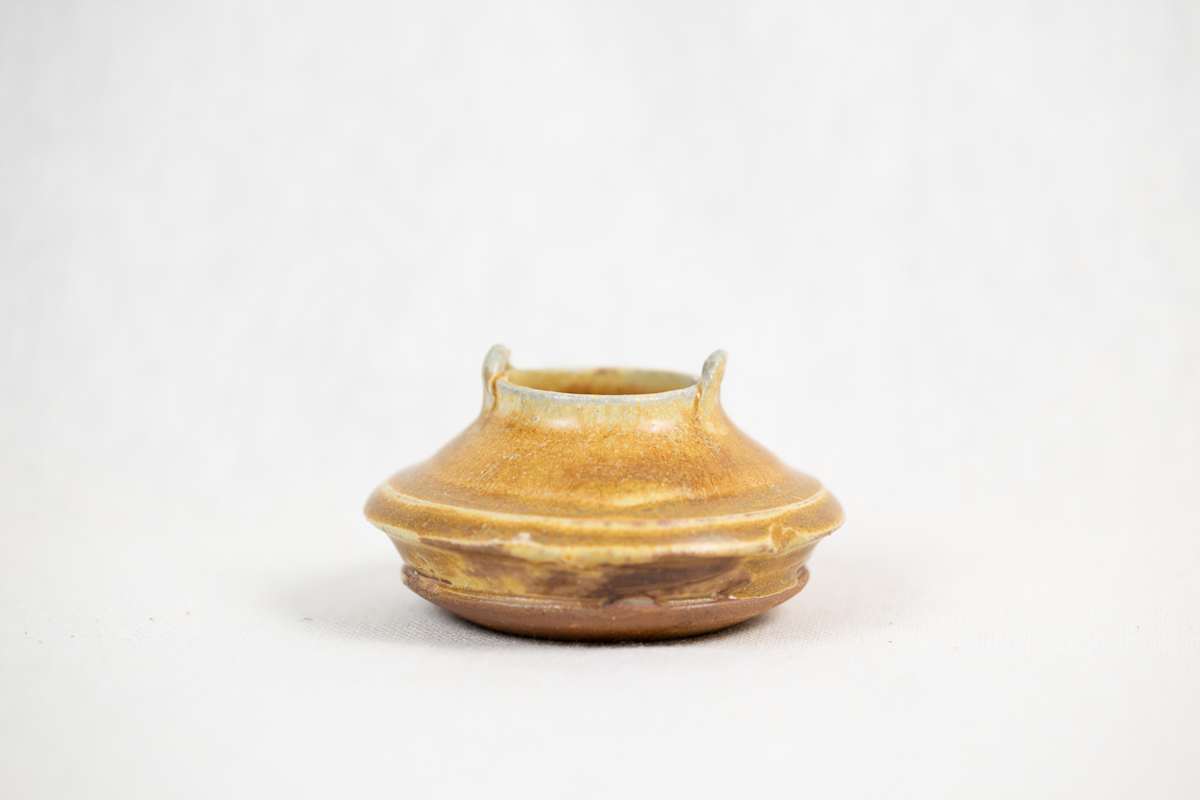 Wild Pigment Vessel 2025.05.36 by emma estelle chambers 