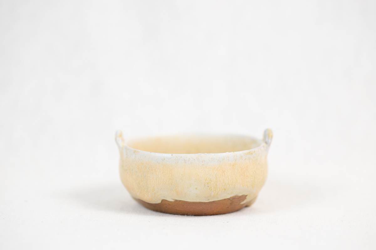 Wild Pigment Vessel 2025.05.40 by emma estelle chambers 