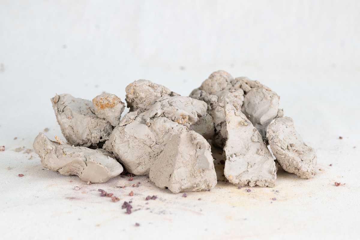 Wild Clay Gray by emma estelle chambers, Image 1.