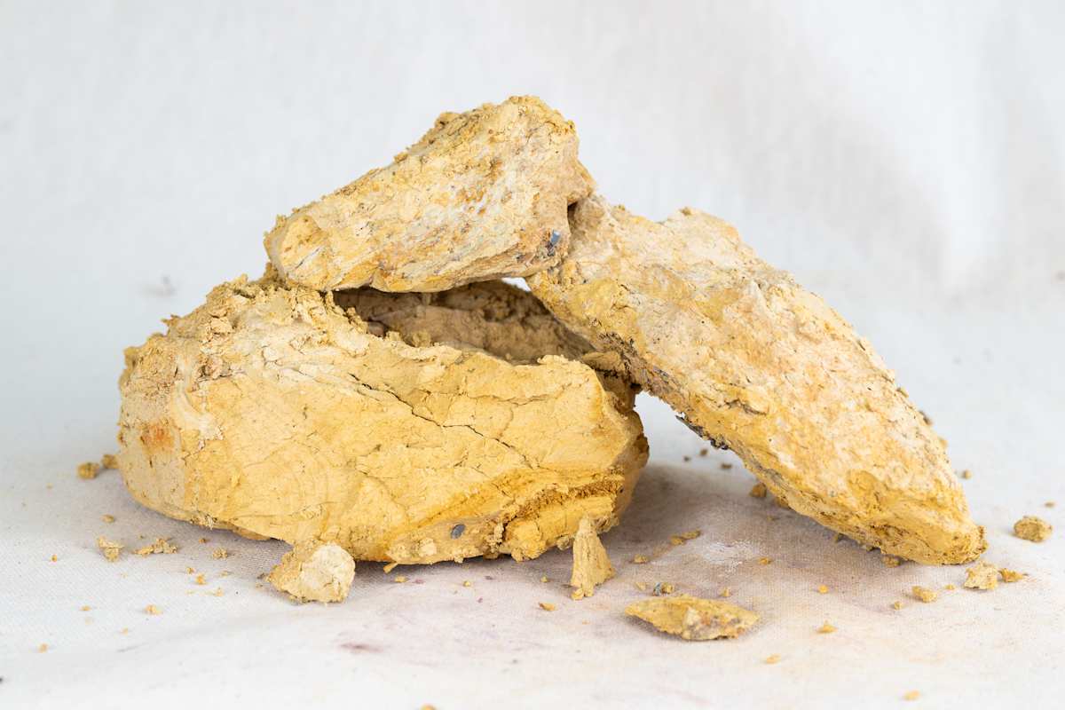 Wild Clay Yellow by emma estelle chambers, Image 1.