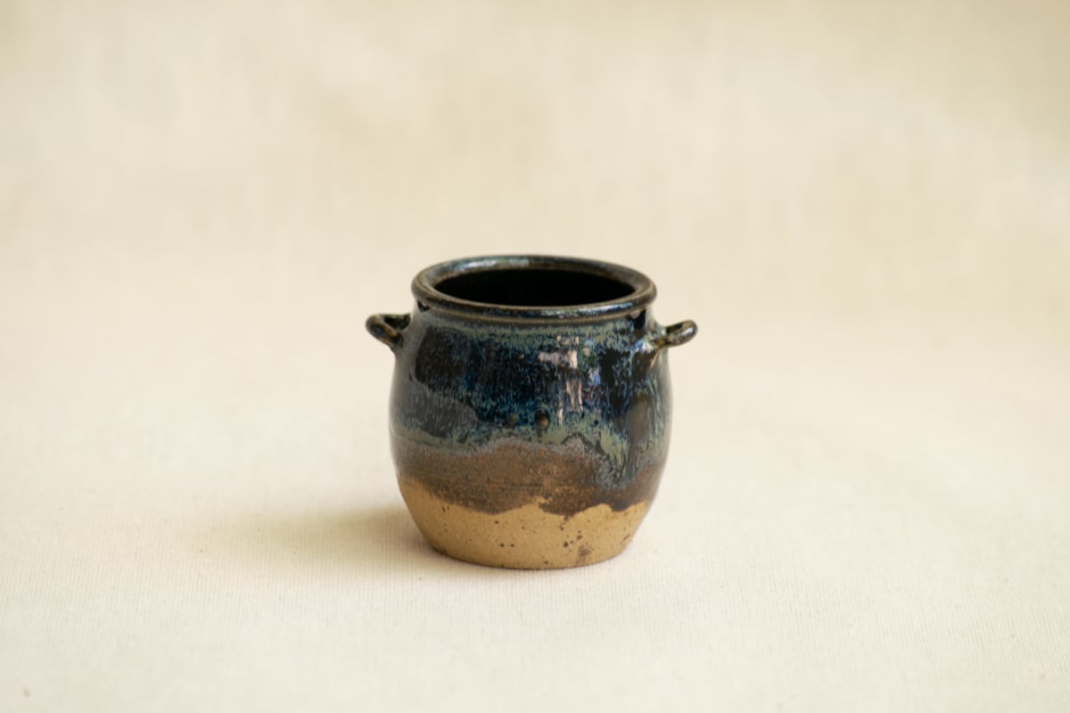 wild pigment vessel by emma estelle chambers 