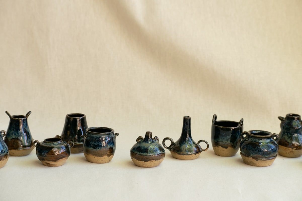 wild pigment vessels by emma estelle chambers 