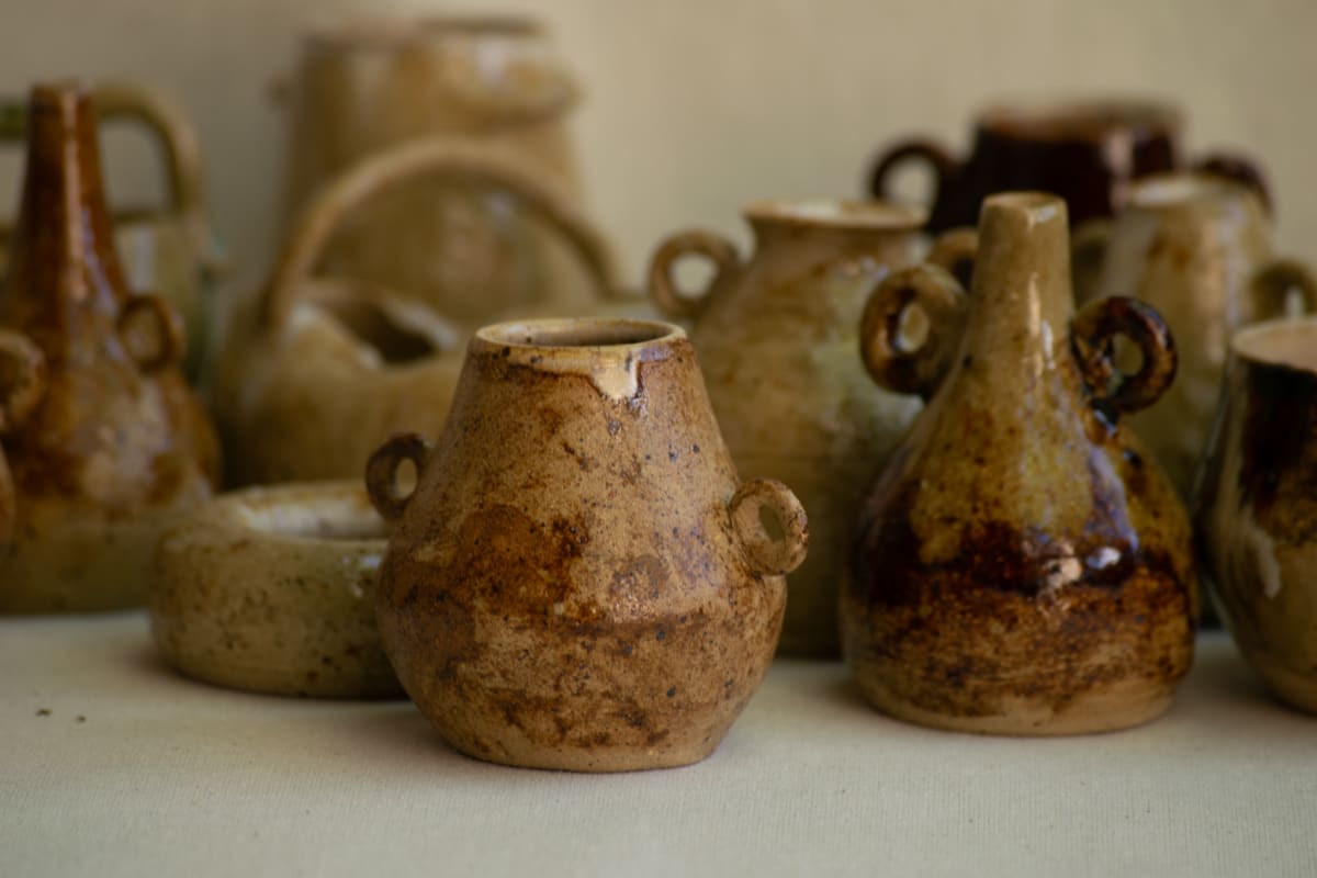 wild pigment vessels by emma estelle chambers 