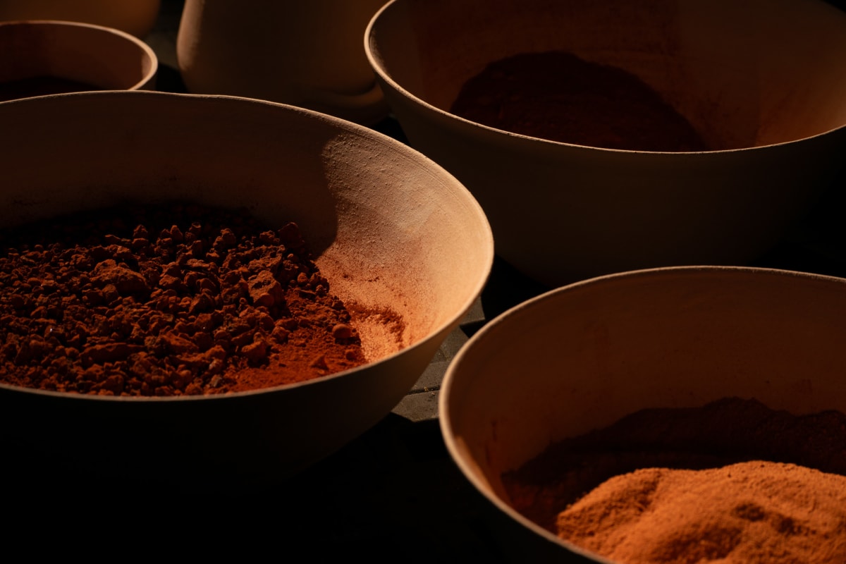 Arkansas pigments by emma estelle chambers 