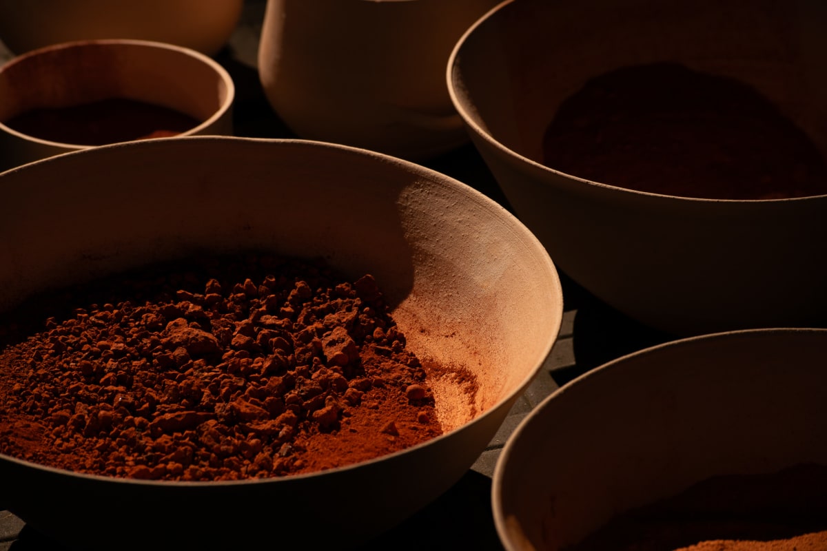 Arkansas pigments by emma estelle chambers 