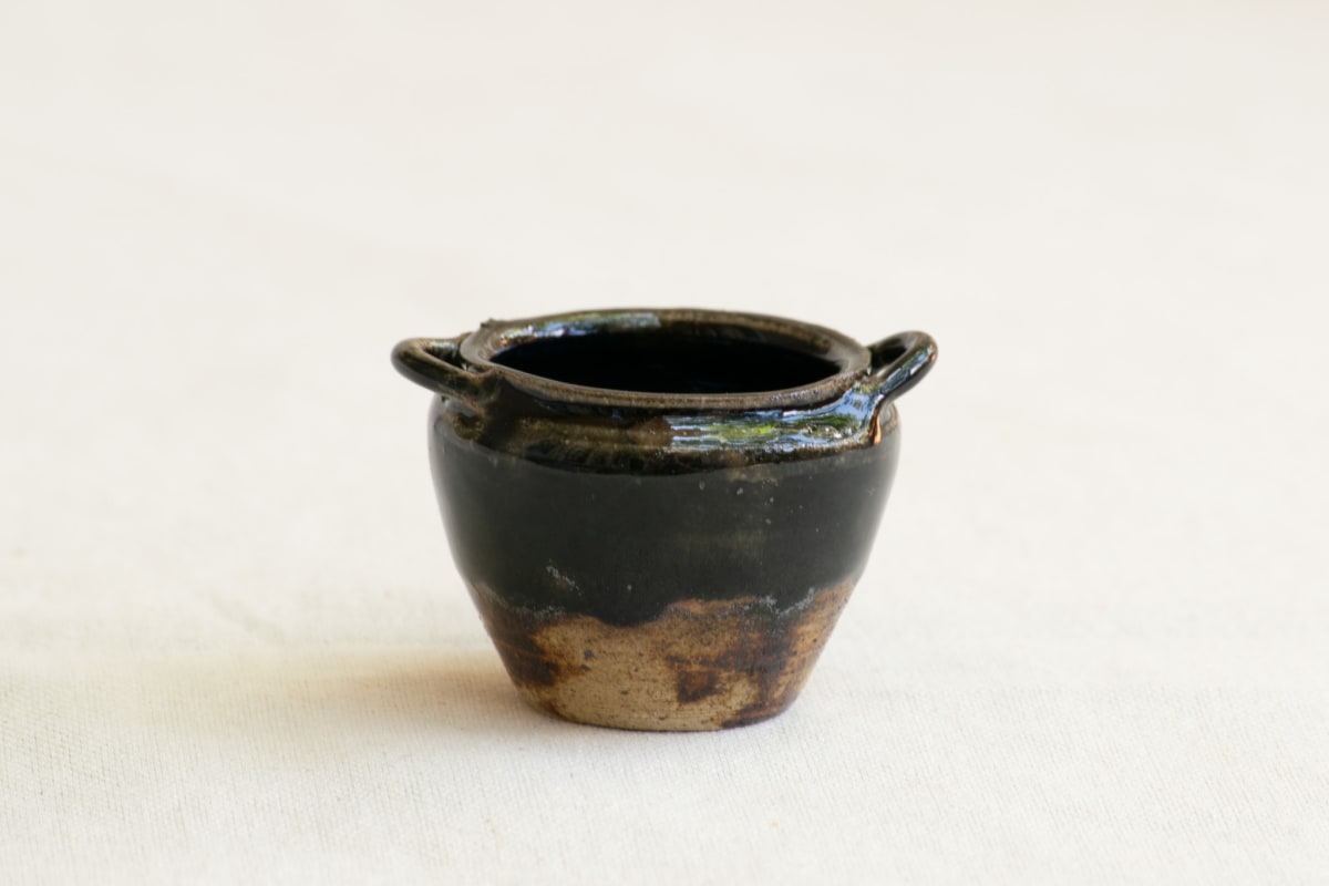 wild pigment vessel by emma estelle chambers 
