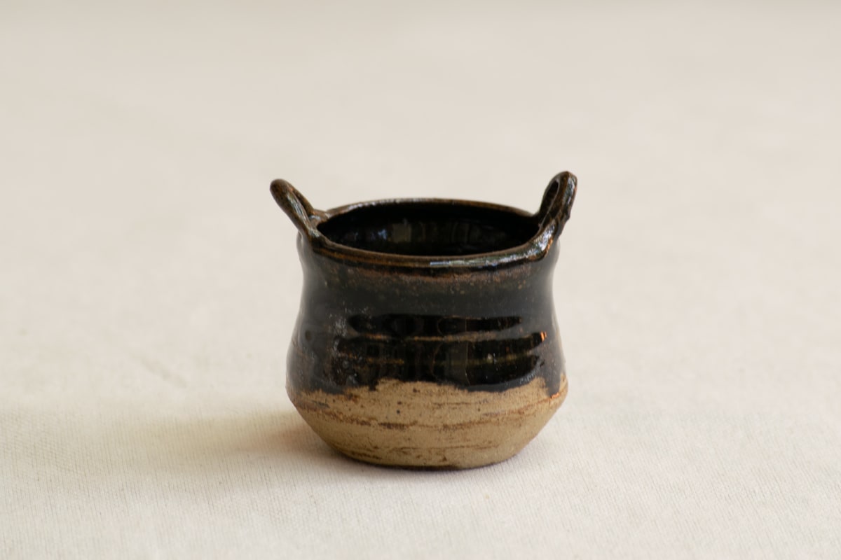 wild pigment vessel by emma estelle chambers 