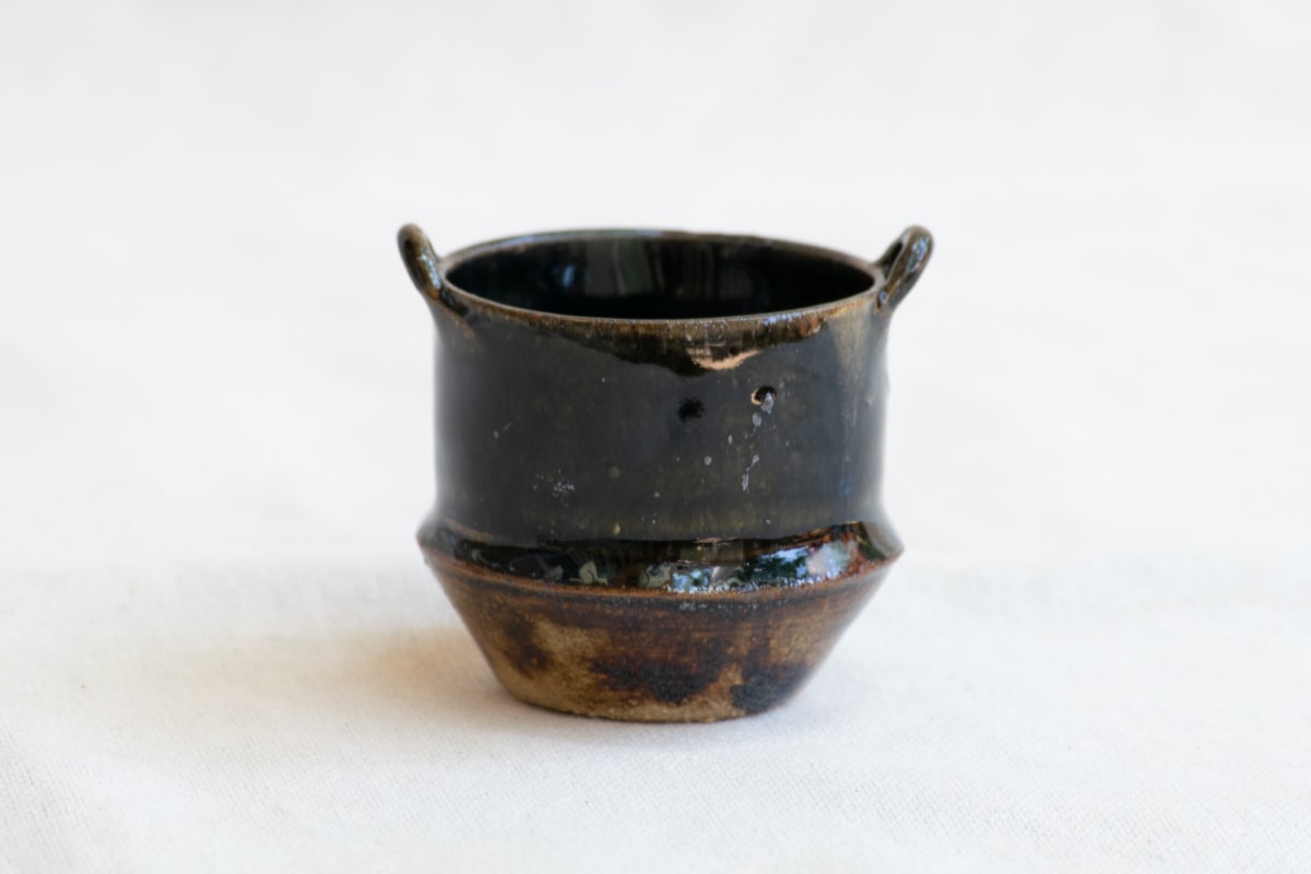 wild pigment vessel by emma estelle chambers 