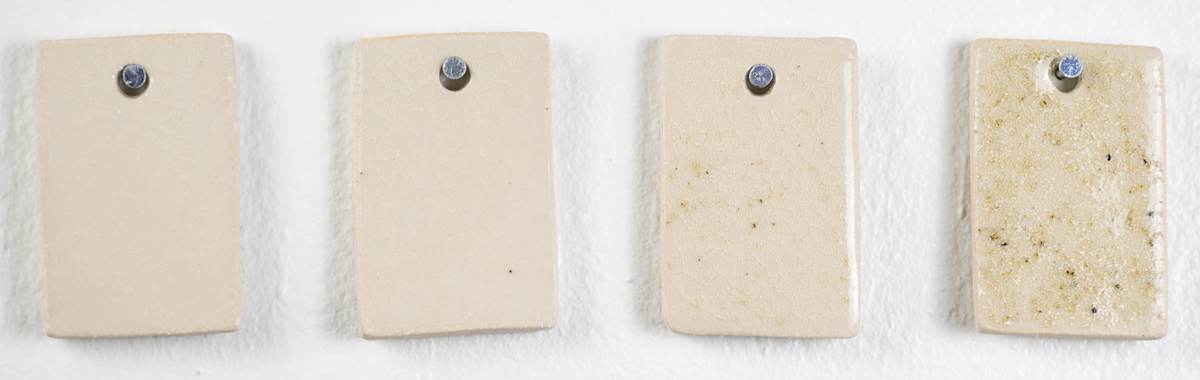 4321 - Red Hematitic Sand by emma estelle chambers 