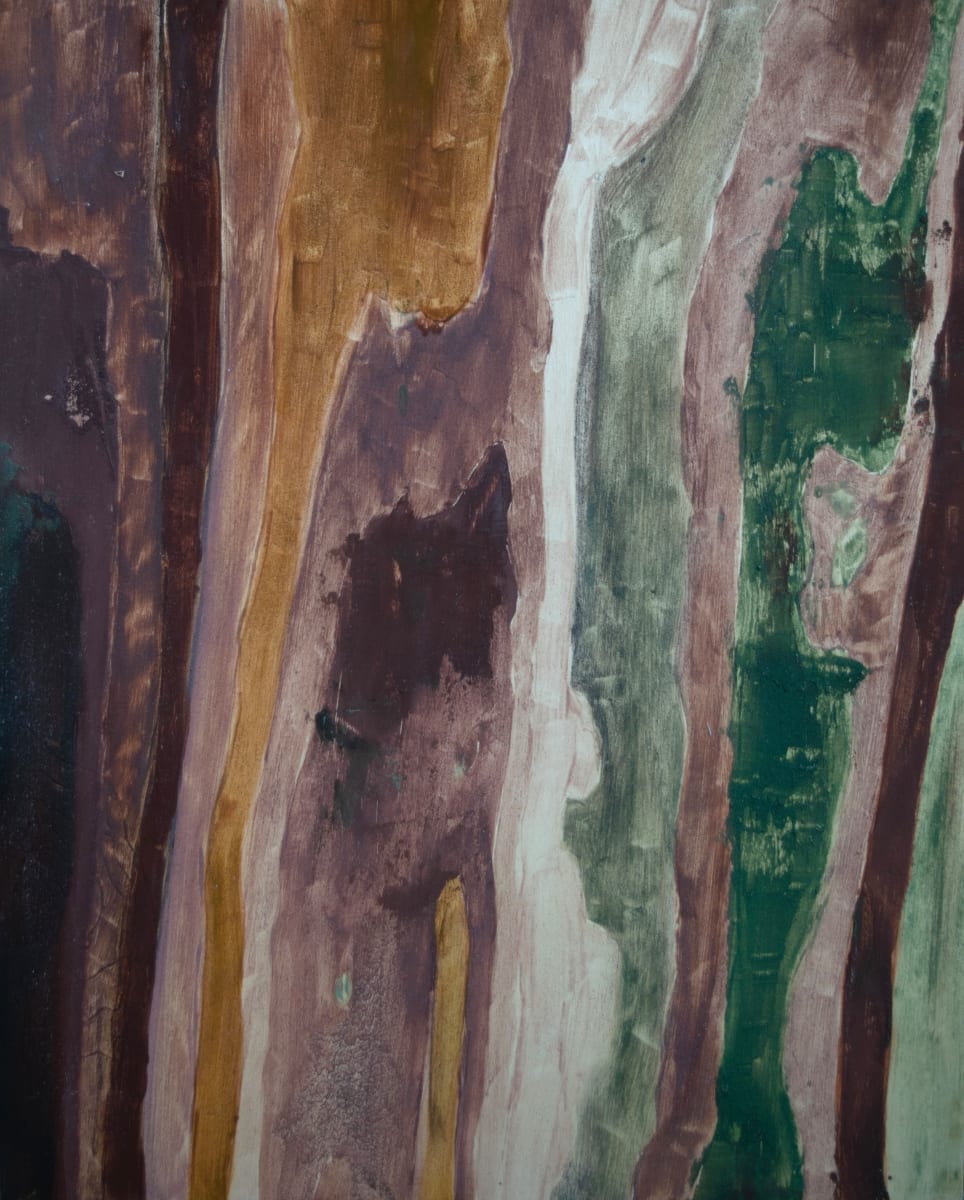 Wild Pigment Painting 02 by emma estelle chambers 