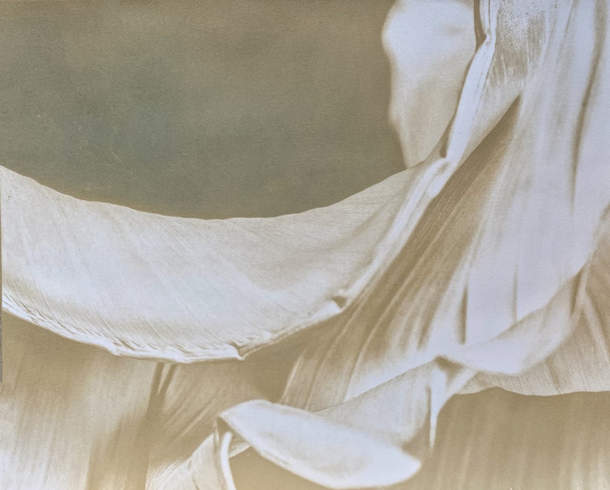 Painted Botanical, Cream  #1 by Dora Somosi   Image: Hand Coated Cyanotype on Arches watercolor paper, bleached and toned. 