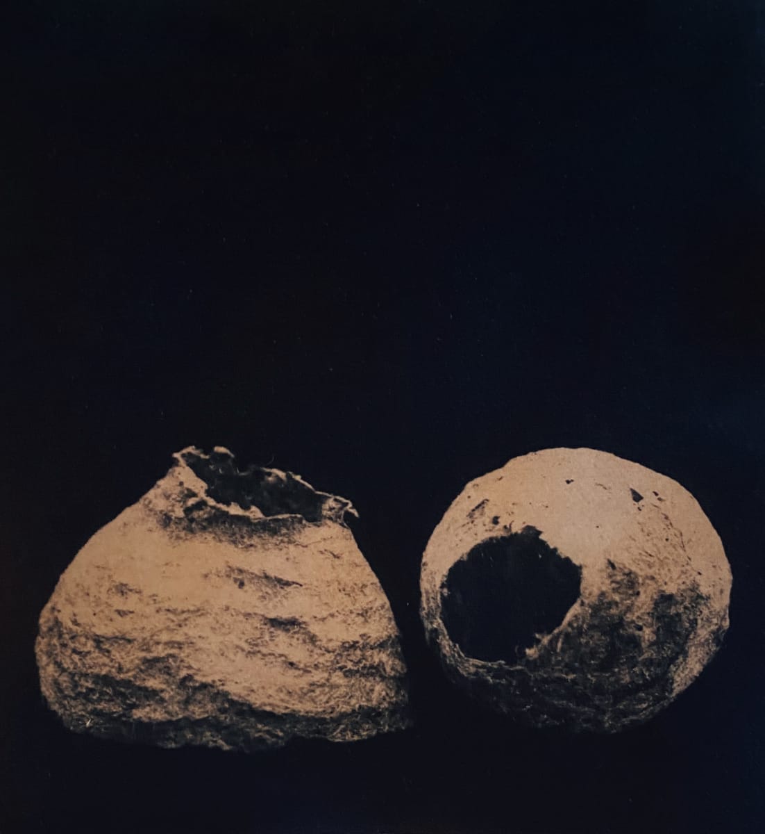 Nests #1 by Dora Somosi   Image: Hand coated Cyanotype contact print on Arches watercolor paper, tied with tannins. 