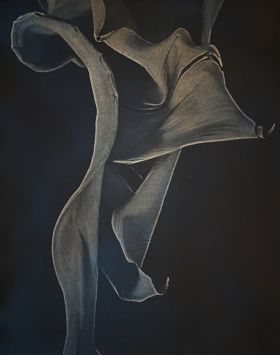 Painted Botanical, Midnight #1 by Dora Somosi   Image: Hand coat Arches watercolor paper contact print 