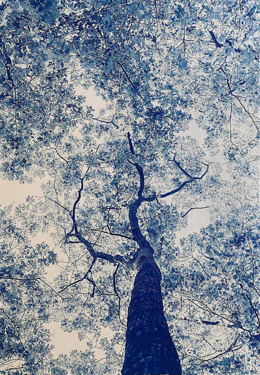 Edna St Vincent Milay, 28 x 36, Edition 3 of 5 by Dora Somosi 