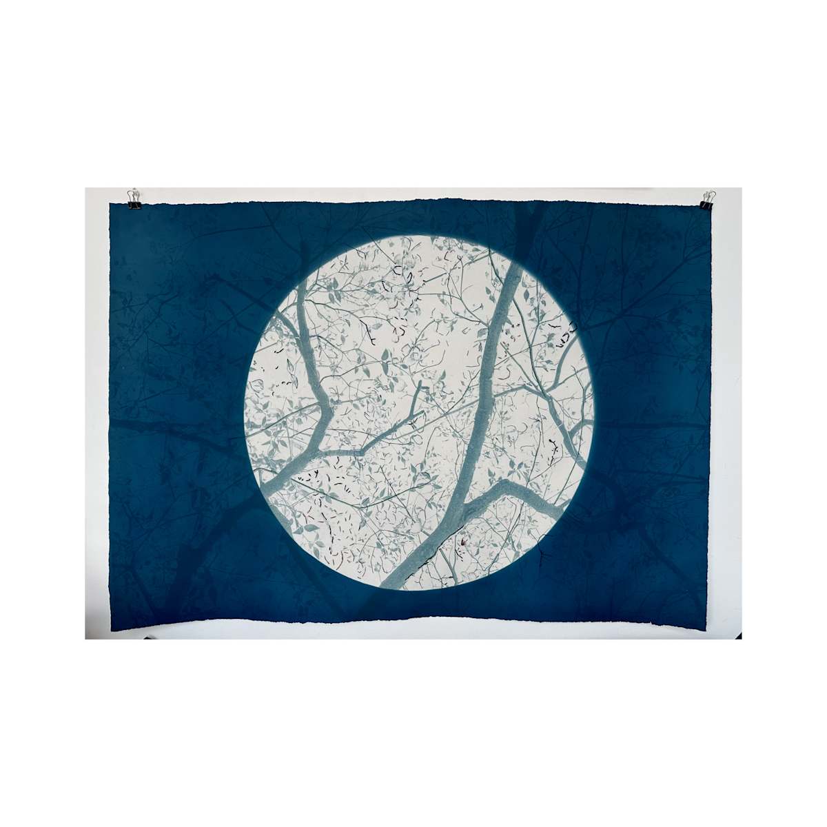 Mending Dogwood by Dora Somosi 