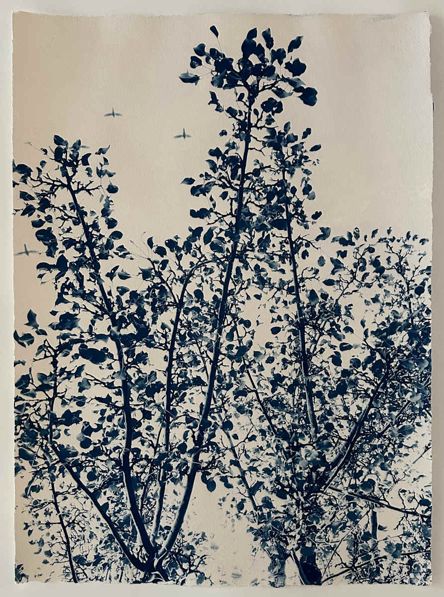 By Her Side, Agnes Martin, 26 x 18 Edition 3 of 5 by Dora Somosi 