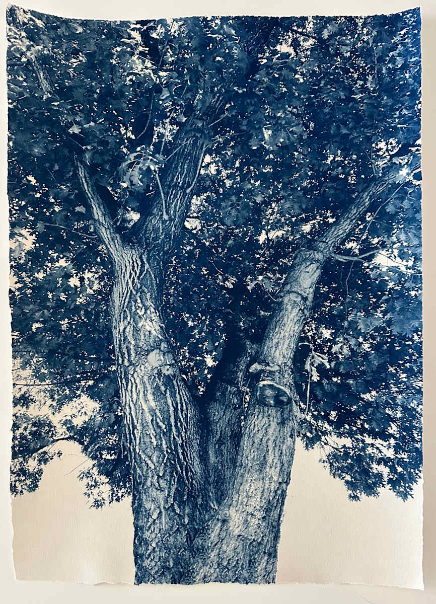 By Her Side, Alma Thomas, Edition 1 of 5 by Dora Somosi 