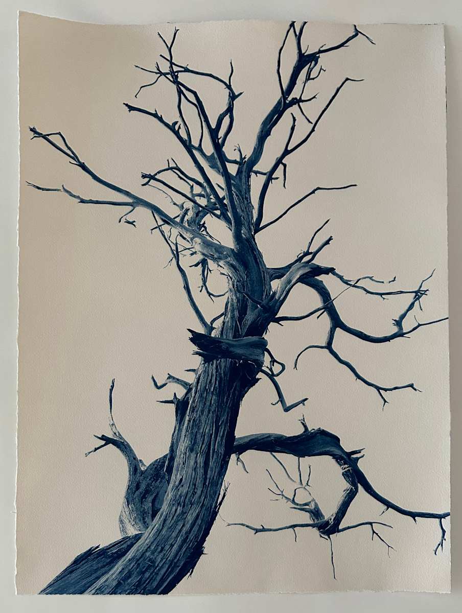 By Her Side, Georgia O'Keeffe, Edition 2 of 5 by Dora Somosi 