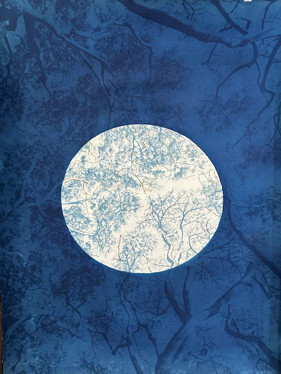 Mending Albezia by Dora Somosi  Image: Double exposed, hand coated cyanotype with natural dye embroidery