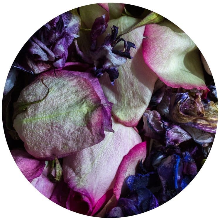 Floral Tondo #2, Edition 3/10 by Dora Somosi   Image: 17x17 Framed Size on Canson Platine Fiber Paper 