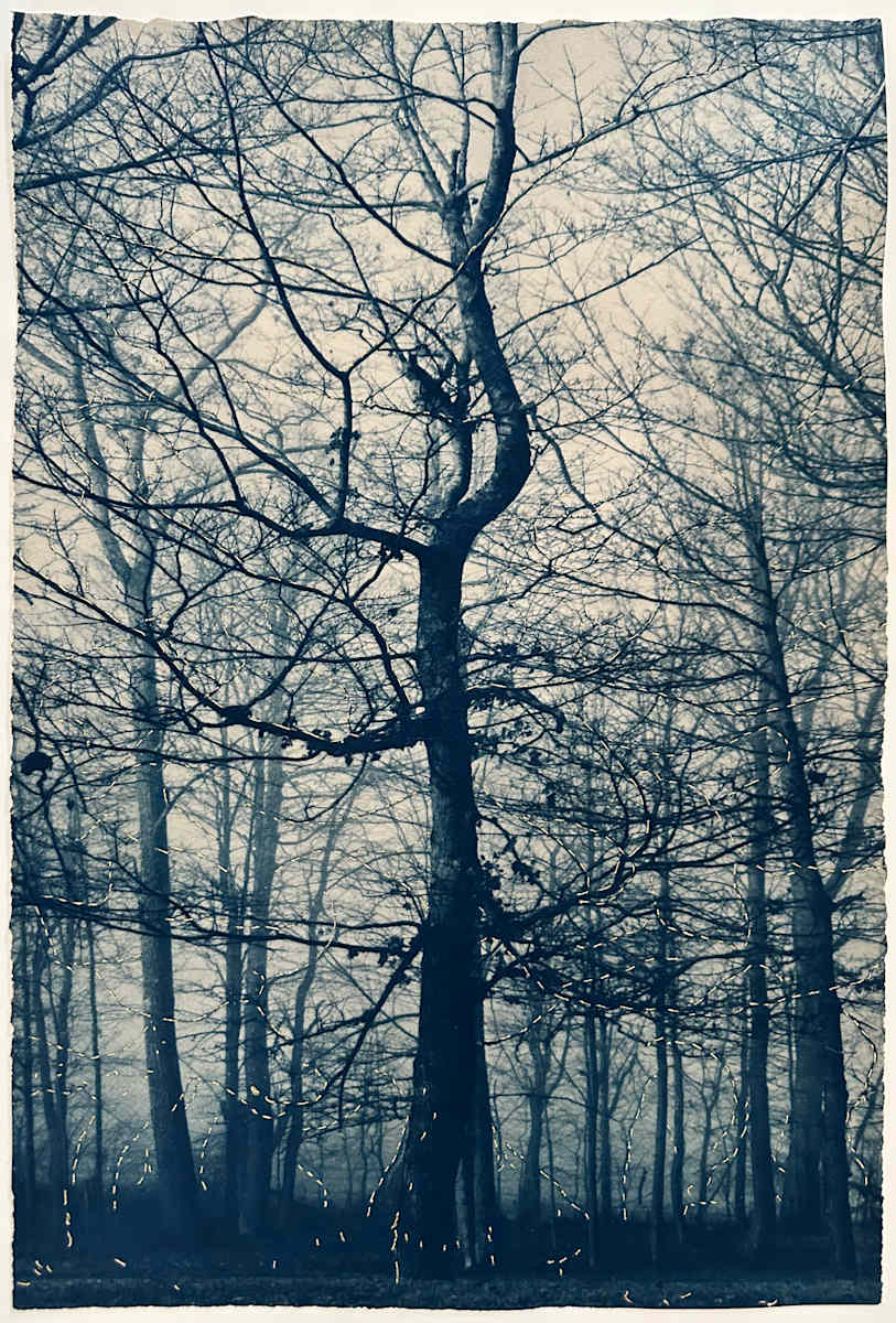 Mending Quiet by Dora Somosi  Image: Unique 