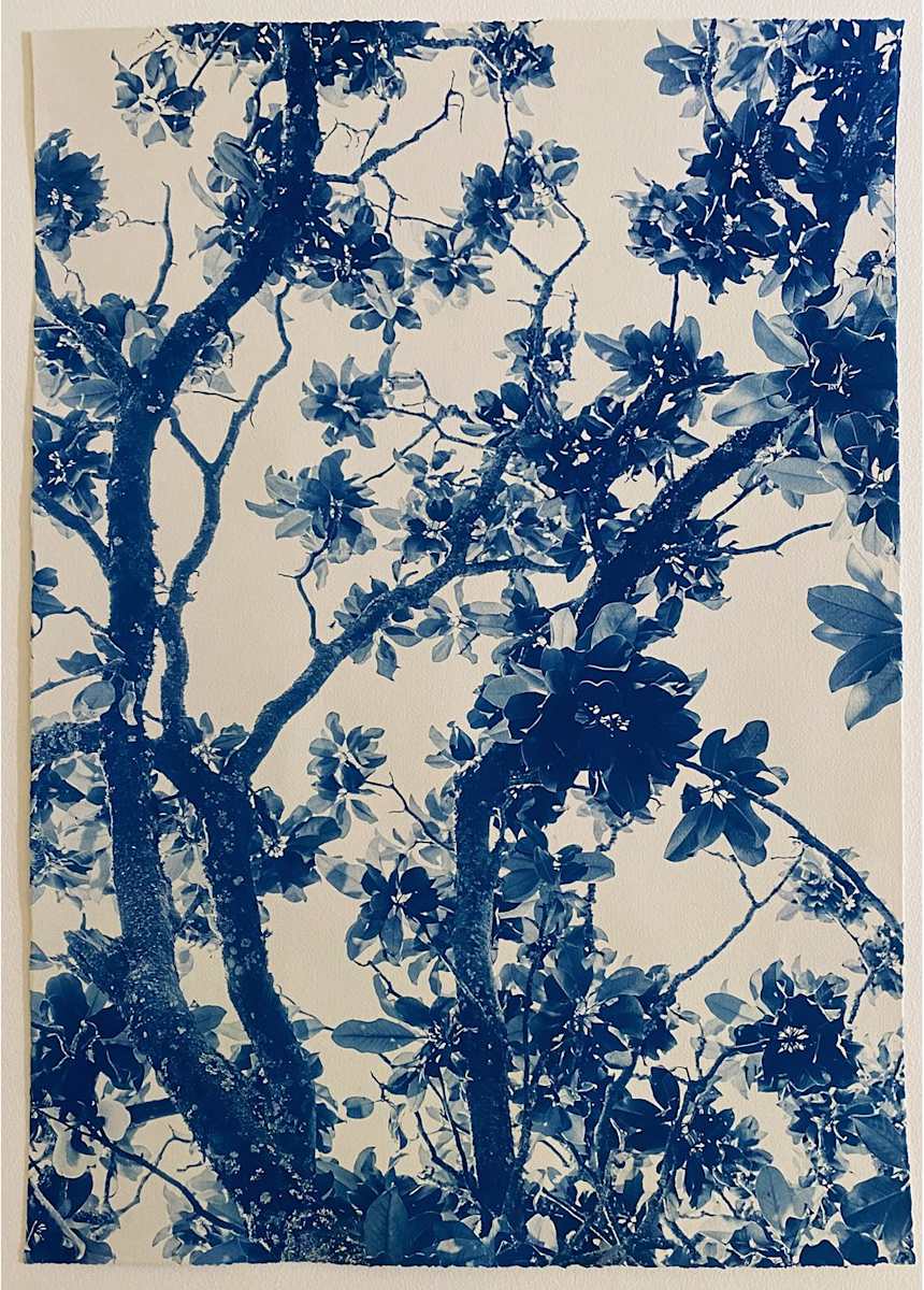 Framed: Imogen Cunningham, By Her Side, Edition 3 of 5 by Dora Somosi 