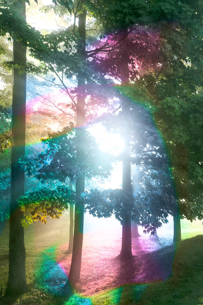 Fantastic Regular - Toward the Backfield 1/5 by Dora Somosi 