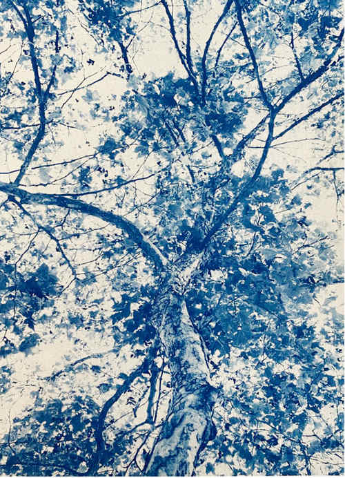 Dorothea Lange, 26 x 18, Edition 1 of 5 by Dora Somosi 