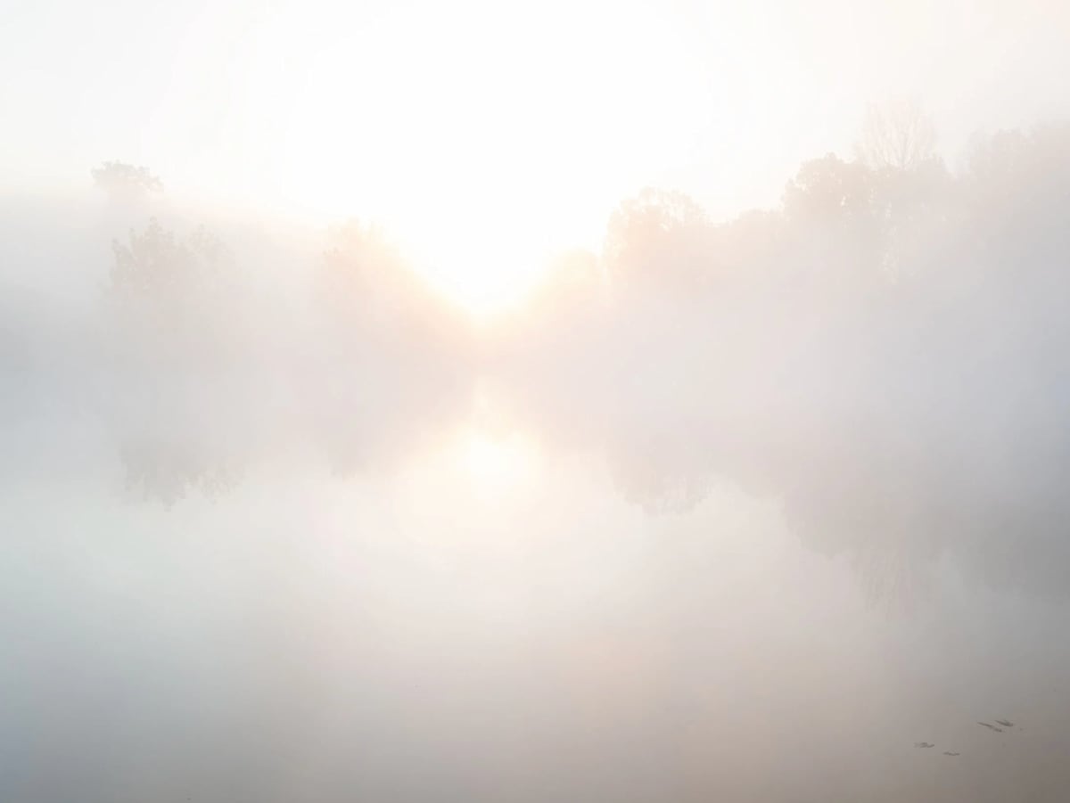 Linder Loop by Dora Somosi 