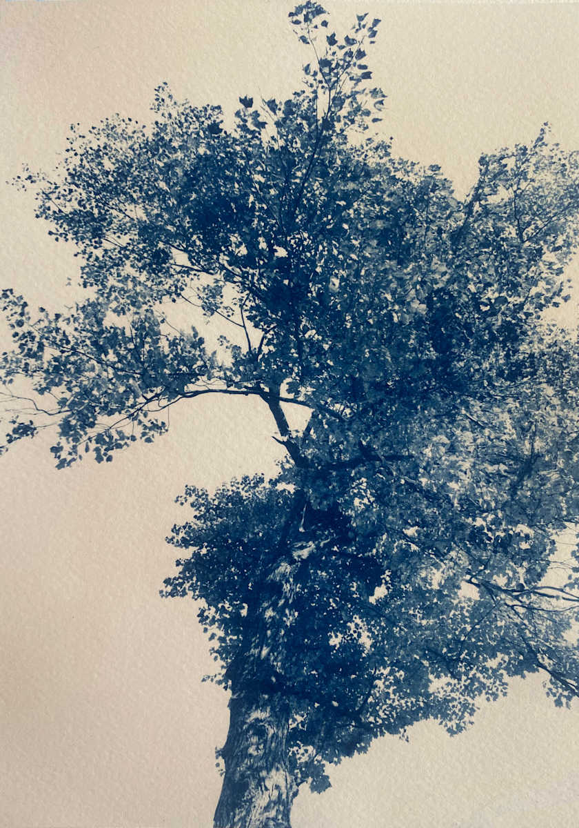 Toni Morrison, By Her Side 1/5 by Dora Somosi